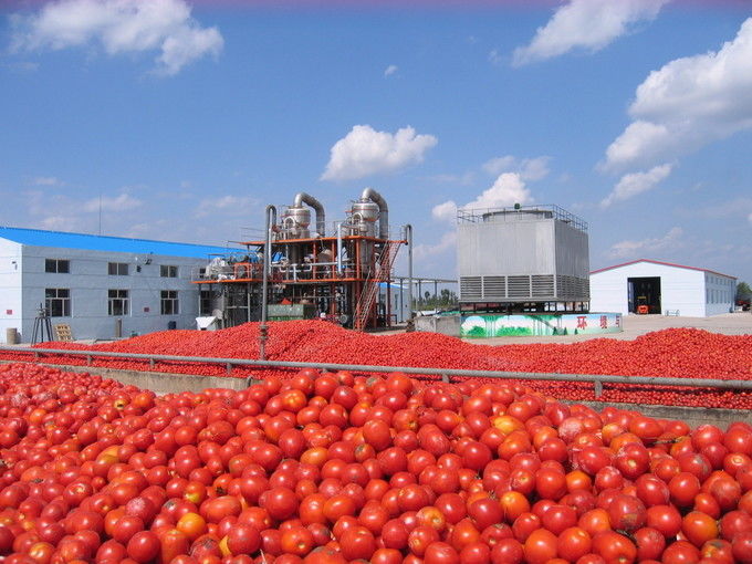 Arkhum (Tianjin) Health Technology Co., Ltd. manufacturer production line