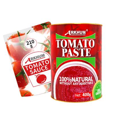 quality Flavored Tomato Sauce with 17.3g Carbs and 4.6g Protein per 100g factory